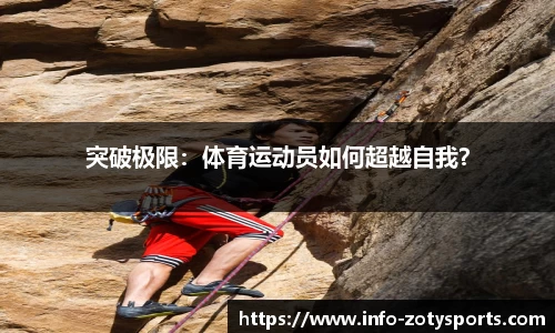 中欧体育